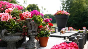 Die sonnige Terrasse des Hotels Arnhem.